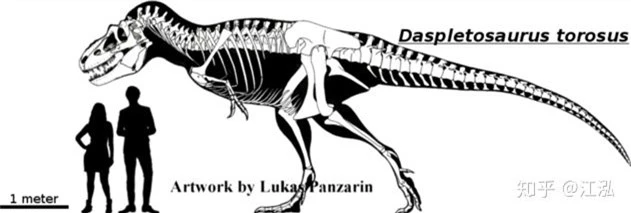 Nghiên cứu mới cho thấy khủng long bạo chúa Tyrannosaurus dựa vào giác quan thứ sáu để yêu? - Ảnh 3.