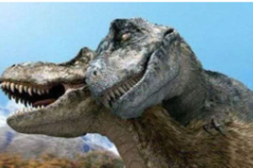 Nghiên cứu mới cho thấy khủng long bạo chúa Tyrannosaurus dựa vào giác quan thứ sáu để "yêu"?