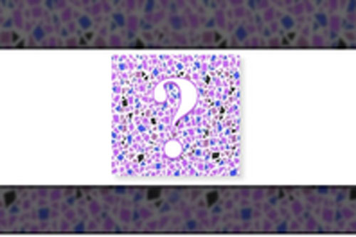 Trắc nghiệm: Tài năng tiềm ẩn của bạn là gì?