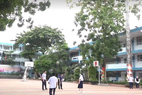 'Nhập nhằng' việc quản lý cây xanh trong trường học