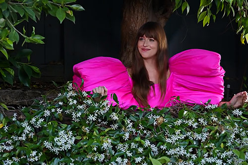 Sao phim '50 sắc thái' diện trang phục của nhà thiết kế Công Trí