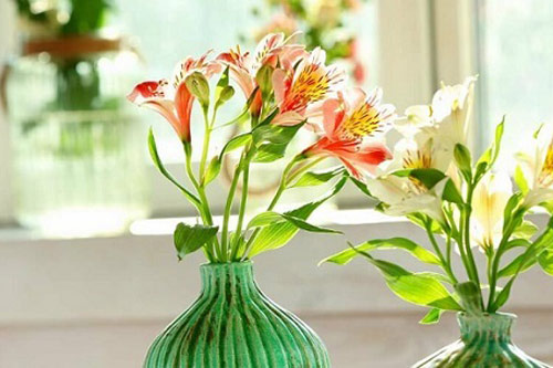 Trắc nghiệm: Sự đố kị sẽ đem đến cho bạn điều gì?