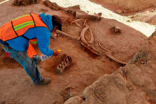 Xây sân bay, đào được 60 "quái thú" niêm phong dưới thành phố