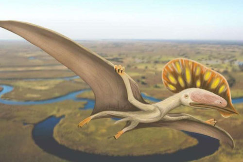 Phát hiện hoá thạch của loài Dực long chưa từng được biết đến tại Anh