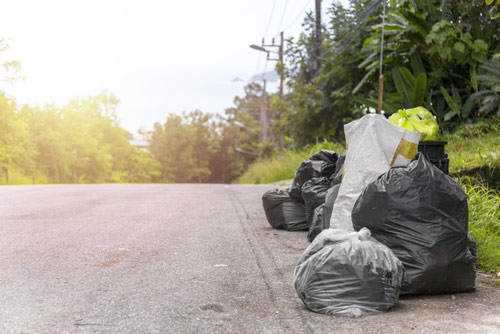 Vô tình nhặt 2 túi rác trên đường, về nhà mở ra người phụ nữ mới thấy cảnh tượng khó ngờ