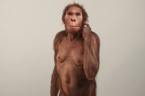 Vấp khúc xương, cậu bé phát hiện tổ tiên "mất tích" của loài người