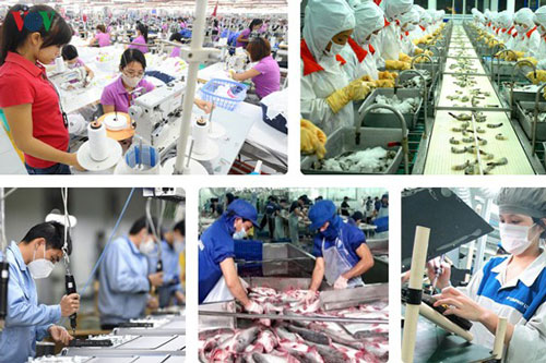 EVFTA buộc các doanh nghiệp phải “lột xác” để phát triển