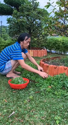 Hoài Linh chăm sóc vườn cây.