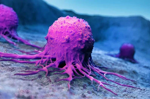 Ảnh đồ họa mô tả tế bào ung thư ở phổi. 