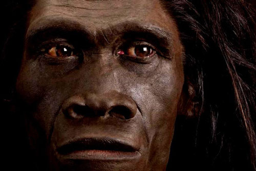 Phát hiện loài người lai chưa từng biết đến ở châu Á