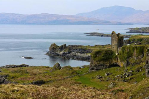 Phát hiện con bọ già nhất thế giới trên một hòn đảo của Scotland