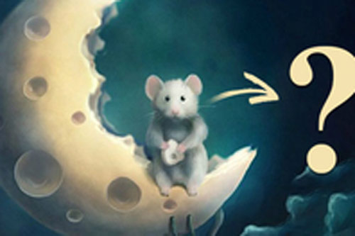 Trắc nghiệm: Phong cách sống của bạn như thế nào?