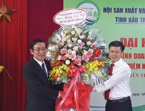 Giám đốc Dầu tràm Kim Vui là Chủ tịch Hội Sản xuất và Kinh doanh dầu tràm Huế