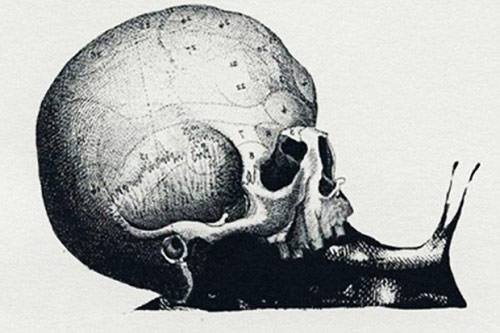 Trắc nghiệm: Công việc nào mang lại thành công cho bạn?