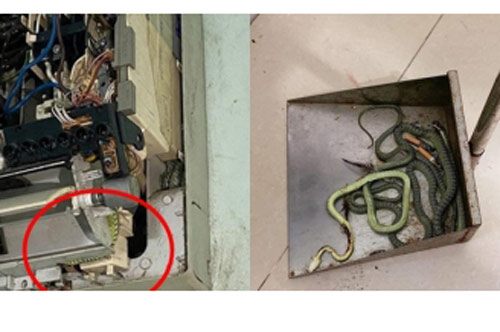 Thấy điều hòa bật không mát, gia đình tháo ra kiểm tra thì phát hiện cảnh tượng đáng sợ bên trong