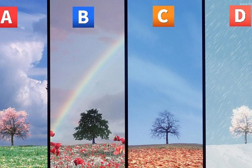 Trắc nghiệm: Đo chỉ số phụ thuộc, dựa dẫm vào gia đình của bạn