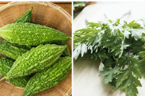 Các loại thực phẩm càng đắng càng giã tật, có thể giúp bạn chữa "bách bệnh"