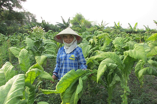 Ba giải pháp tháo gỡ khó khăn cho sản xuất kinh doanh, hỗ trợ đối tượng bị ảnh hưởng bởi dịch COVID-19