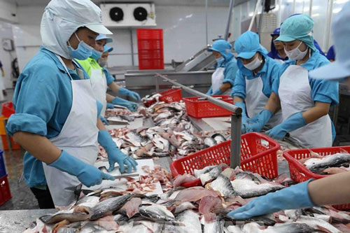VASEP: Xuất khẩu cá tra còn khó khăn đến hết quý II