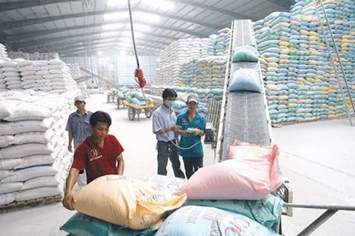 Giá xuất khẩu gạo của Việt Nam trong tháng 5/2020 cũng tăng lên mức cao nhất trong nhiều năm qua (Ảnh: Internet)
