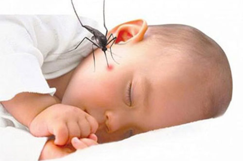 Trẻ sơ sinh bị muỗi đốt “chuyện nhỏ” nhưng hậu quả to