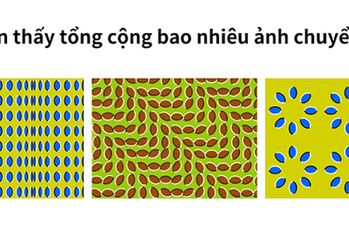 Trắc nghiệm: Bài kiểm tra cho biết bạn có đang bị stress hay không?
