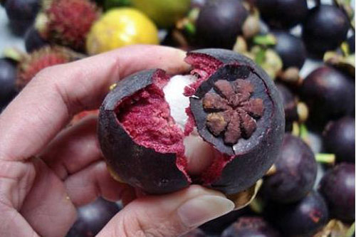 Tiểu thương tiết lộ cách phân biệt măng cụt Việt Nam và măng cụt Thái Lan