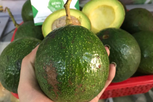 Mẹo ủ bơ nhanh chín, thơm vàng tự nhiên, an tâm mà ăn thoải mái