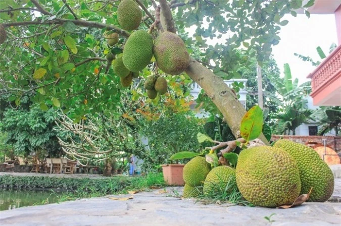 Nét đẹp mãi trường tồn cùng thời gian của Chùa Nôm - Hình 15 Net dep mai truong ton cung thoi gian cua Chua Nom-Hinh-15