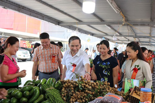 Nhãn Sơn La đảm bảo tiêu chuẩn xuất khẩu