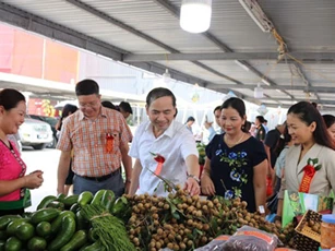 Nhãn Sơn La đảm bảo tiêu chuẩn xuất khẩu