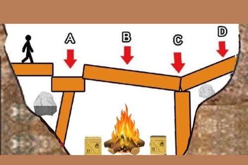 heo bạn, vị trí nào là an toàn nhất để đứng?