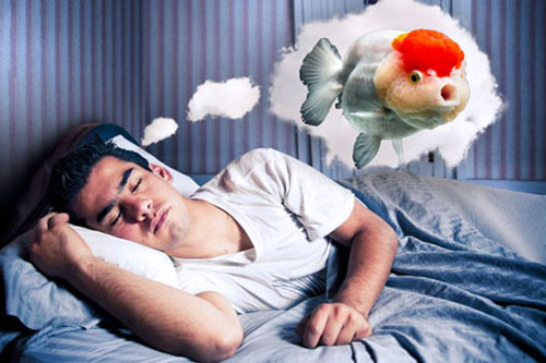 Một số điềm báo gặp may mắn đang mỉm cười với bạn