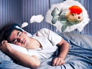 Một số điềm báo gặp may mắn đang mỉm cười với bạn