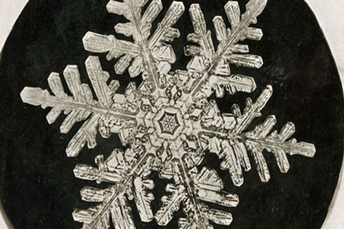 Bí ẩn bất ngờ về bức ảnh đầu tiên chụp bông tuyết