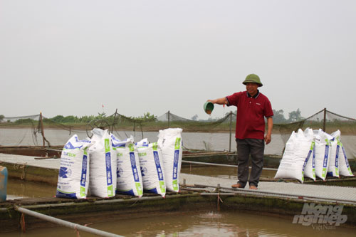 Nam Định: Làm giàu nhờ nuôi cá lồng