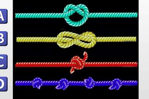 Trắc nghiệm: Năng lực tiềm ẩn của bạn là gì?