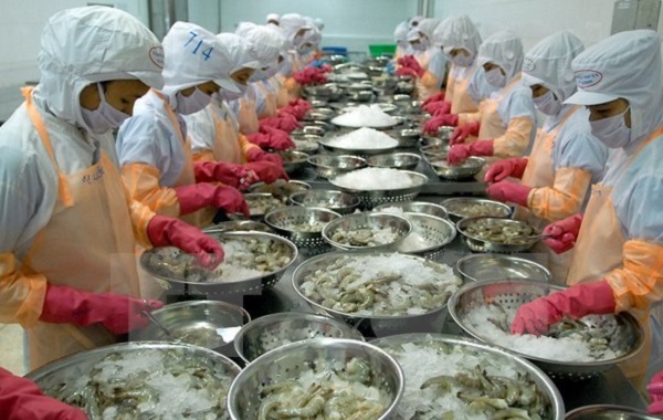 Cần ưu tiên đầu tư ứng dụng khoa học công nghệ trong chế biến nông lâm thủy sản