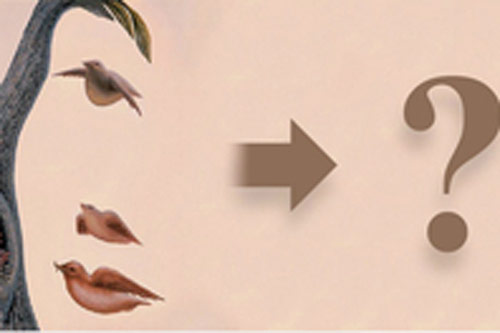 Trắc nghiệm: Tiết lộ lý do bạn bị stress và cách giải quyết