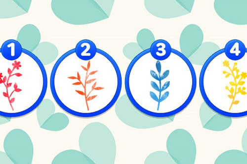 Trắc nghiệm: Đọc vị nội tâm qua nhành cây bạn chọn