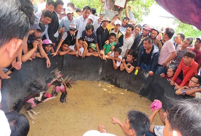 Chọi gà là địa điểm đông khách nhất trong mọi phiên chợ và hội làng. Ảnh: Lan Hương