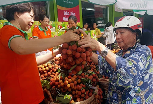 Các loại trái cây đặc sản tìm cách "lấy lòng" người Việt (Ảnh: TL) 