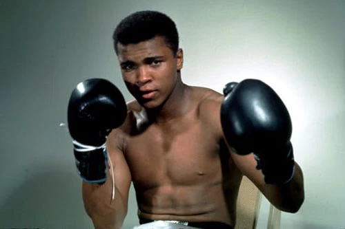 4. Muhammad Ali (Mỹ - Thắng 56, hòa 5, thua 0).