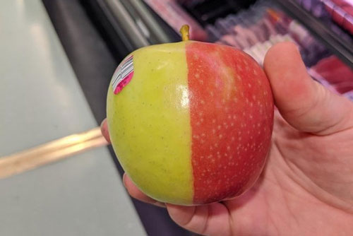 18 điều kỳ diệu của tự nhiên khiến con người ngỡ ngàng