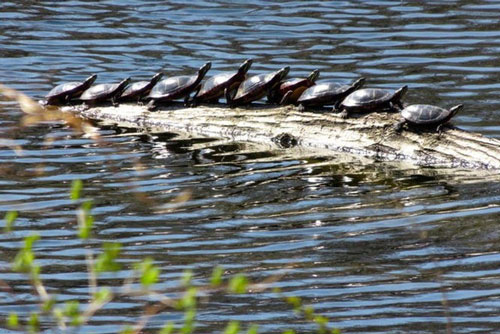 Th&#xED;ch th&#xFA; v&#x1EDB;i 20 b&#x1EE9;c &#x1EA3;nh &#x111;&#xE1;nh l&#x1EEB;a th&#x1ECB; gi&#xE1;c c&#x1EF1;c k&#x1EF3; ngo&#x1EA1;n m&#x1EE5;c