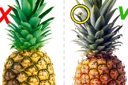 Người bán dứa không bao giờ tiết lộ: Cách nhìn qua biết ngay quả dứa ngon cực phẩm