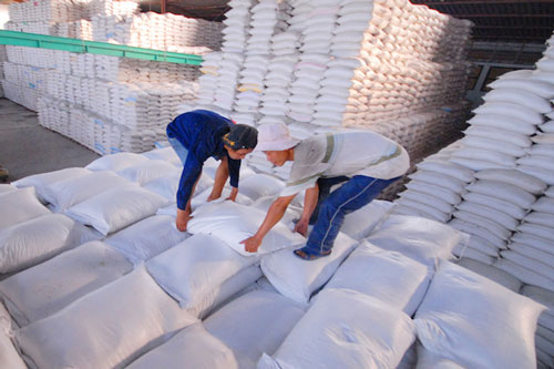 Gạo Việt 'so găng' với Thái Lan để giành đơn hàng từ Philippines