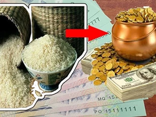 Đúng 0 giờ, đặt vật phong thủy vào nơi Thần Tài mở két, có thể giúp gia chủ đổi vận nhanh chóng giàu có