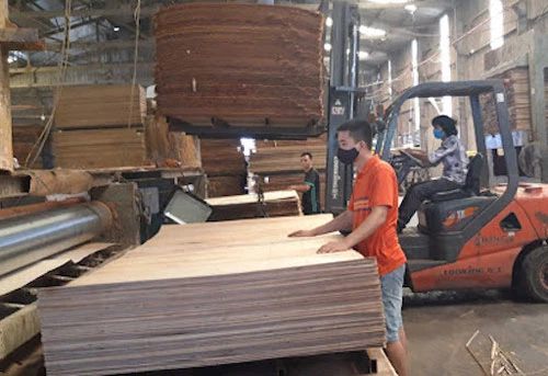 Mặt hàng gỗ dán đang bị Mỹ điều tra vì nghi có nguồn gốc xuất xứ từ Trung Quốc (Ảnh: TL) 