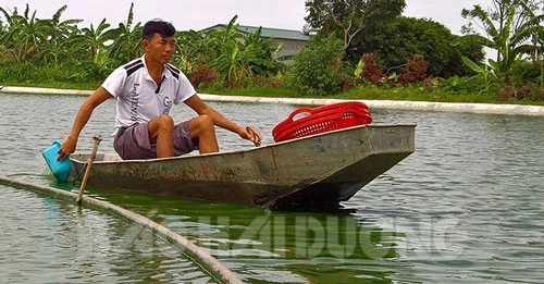 Mỗi năm, gia đình ông Nguyễn Duy Lựu thu lãi từ 200-300 triệu đồng